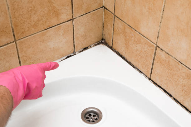 Best Mold Cleaning Services  in North Sea, NY